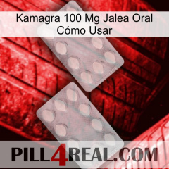 Kamagra 100 Mg Jalea Oral Cómo Usar 17